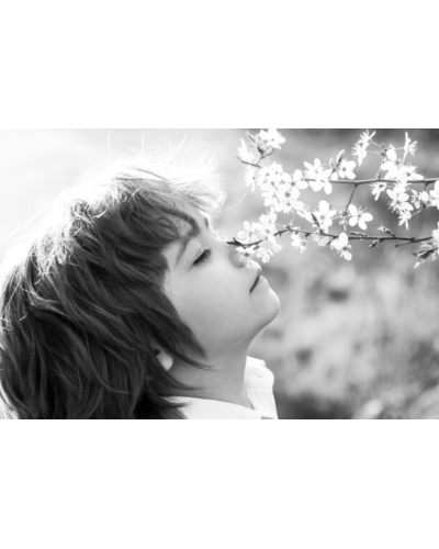 AmericanClub - šedá elegancia s dotykom dobrodružstva–chlapčenské tenisky,kde sa snúbi sila ocele, teplo dreva a pevnosť skaly🌟🌳