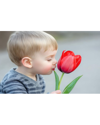 AmericanClub🌟chlapčenské tenisky – tmavomodrá hviezdička v zaujímavej kombinácii modrej, hnedej a červenej🌟