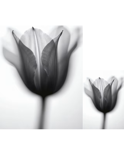 BEFADO -✨čierna noc so striebornou žiarou – tenisky pre princeznú štýlu! ✨