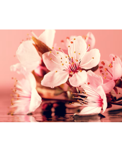 BEFADO -✨kroky v odlesku ružového zlata – staroružové tenisky so zlatým leskom ✨